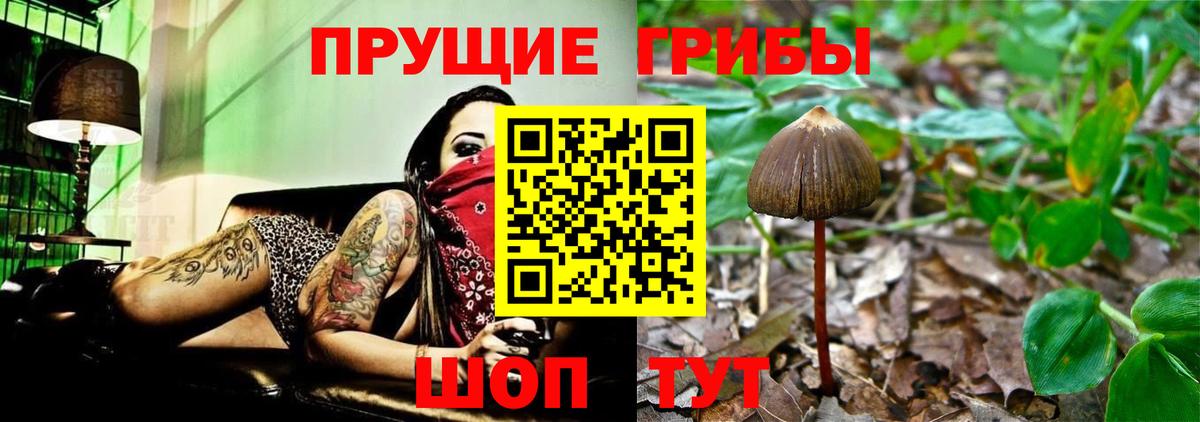Галлюциногенные грибы MAGIC MUSHROOMS  Галлюциногенные грибы Magic Shrooms  Новокубанск  Вход с VPN 