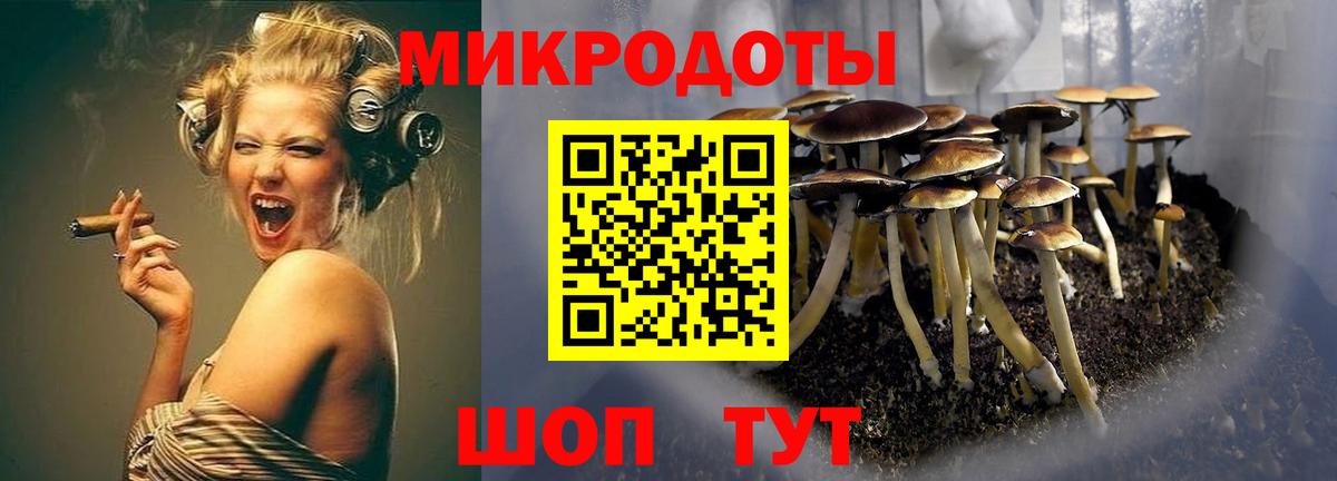 Галлюциногенные грибы мухоморы Новокубанск